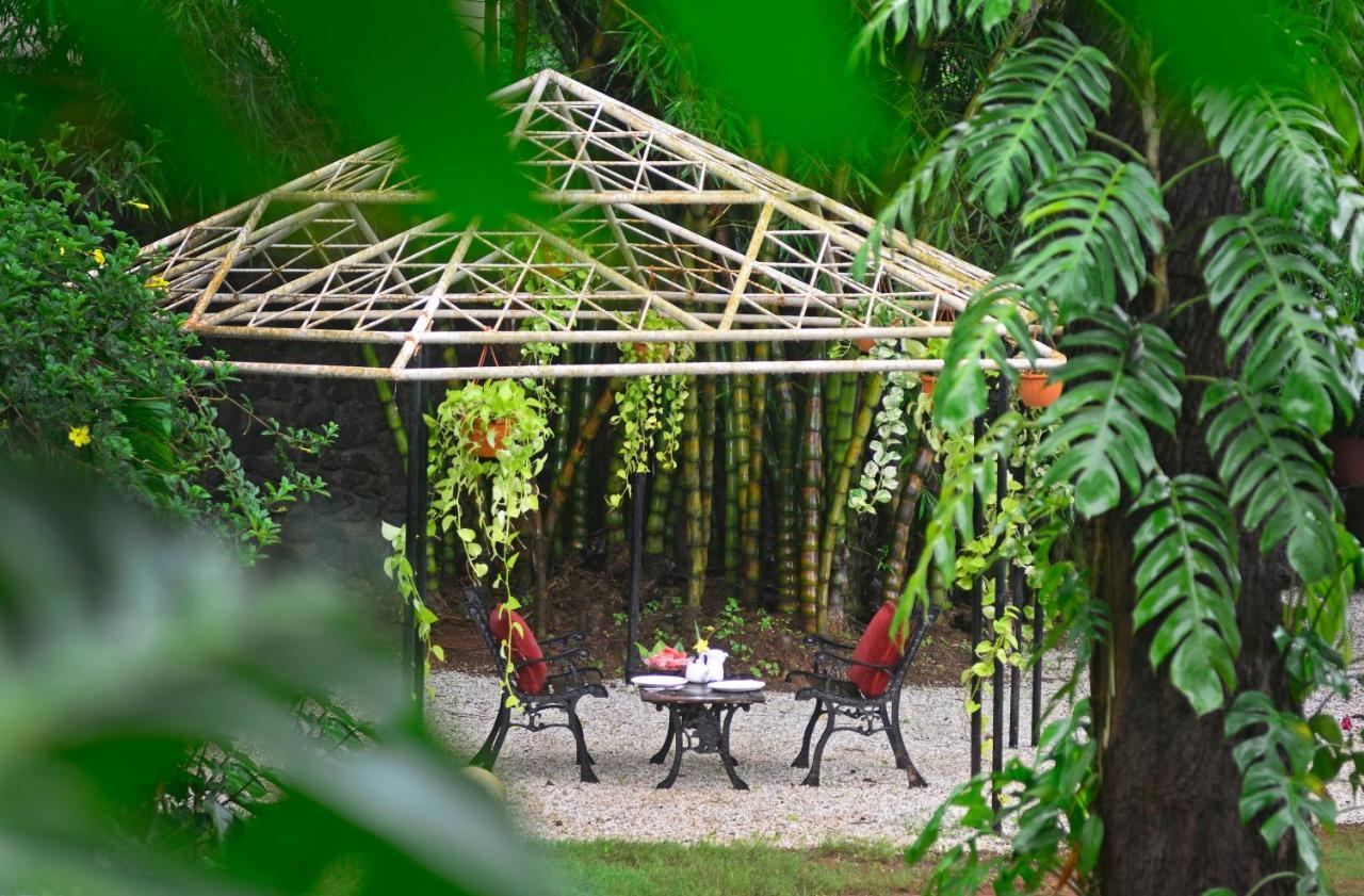 Manas Resort With Petting Zoo, Igatpuri Buitenkant foto