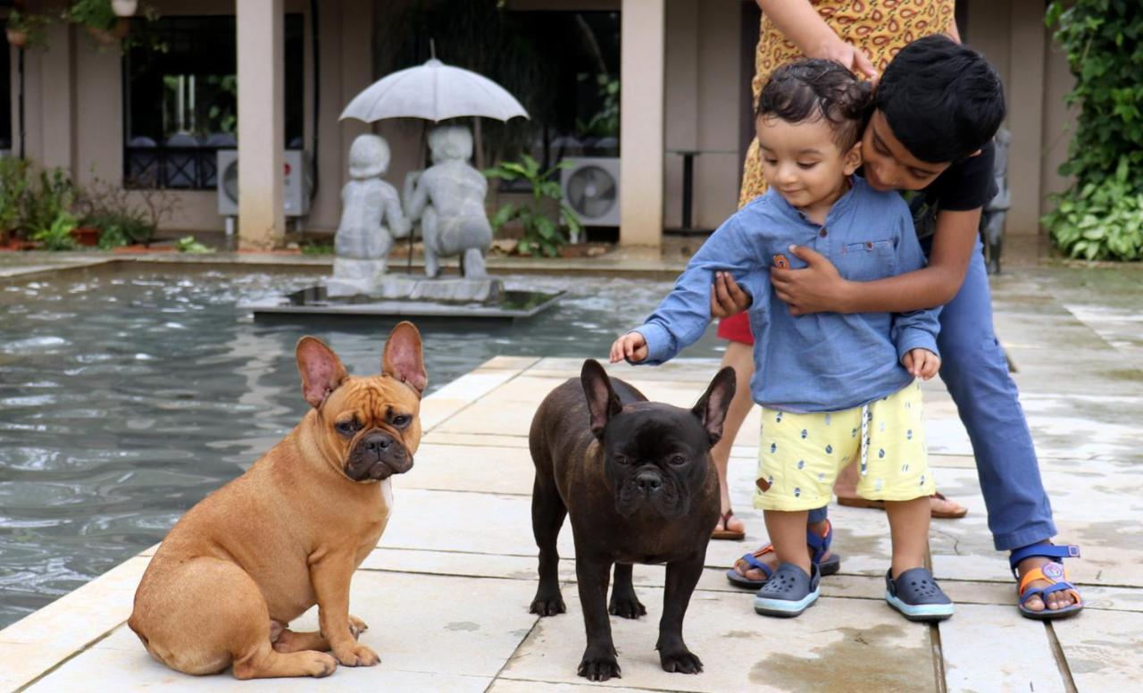Manas Resort With Petting Zoo, Igatpuri Buitenkant foto
