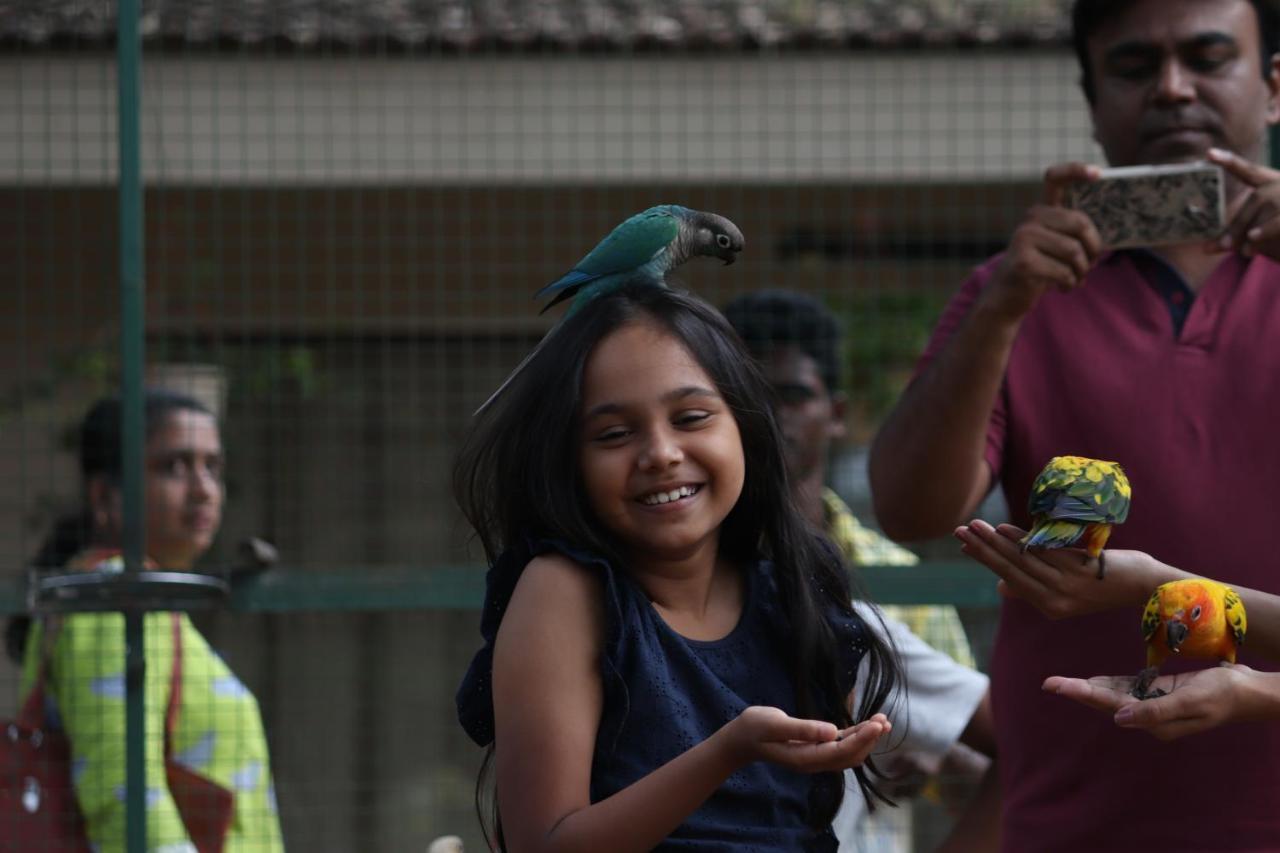 Manas Resort With Petting Zoo, Igatpuri Buitenkant foto