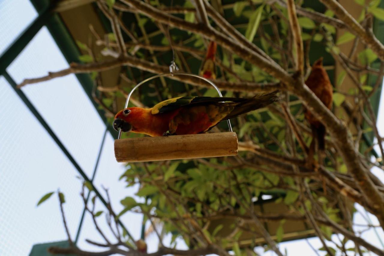 Manas Resort With Petting Zoo, Igatpuri Buitenkant foto