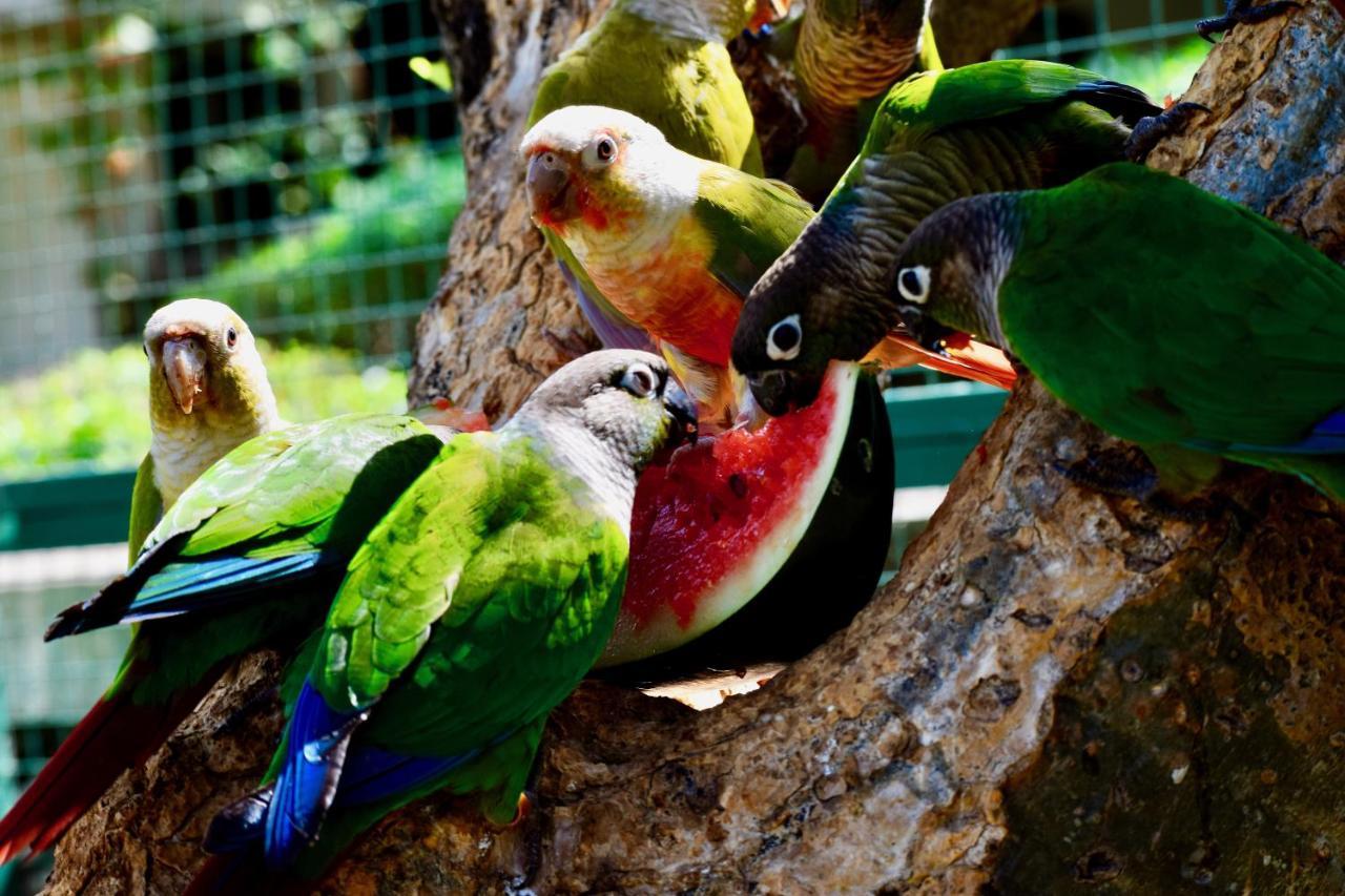 Manas Resort With Petting Zoo, Igatpuri Buitenkant foto